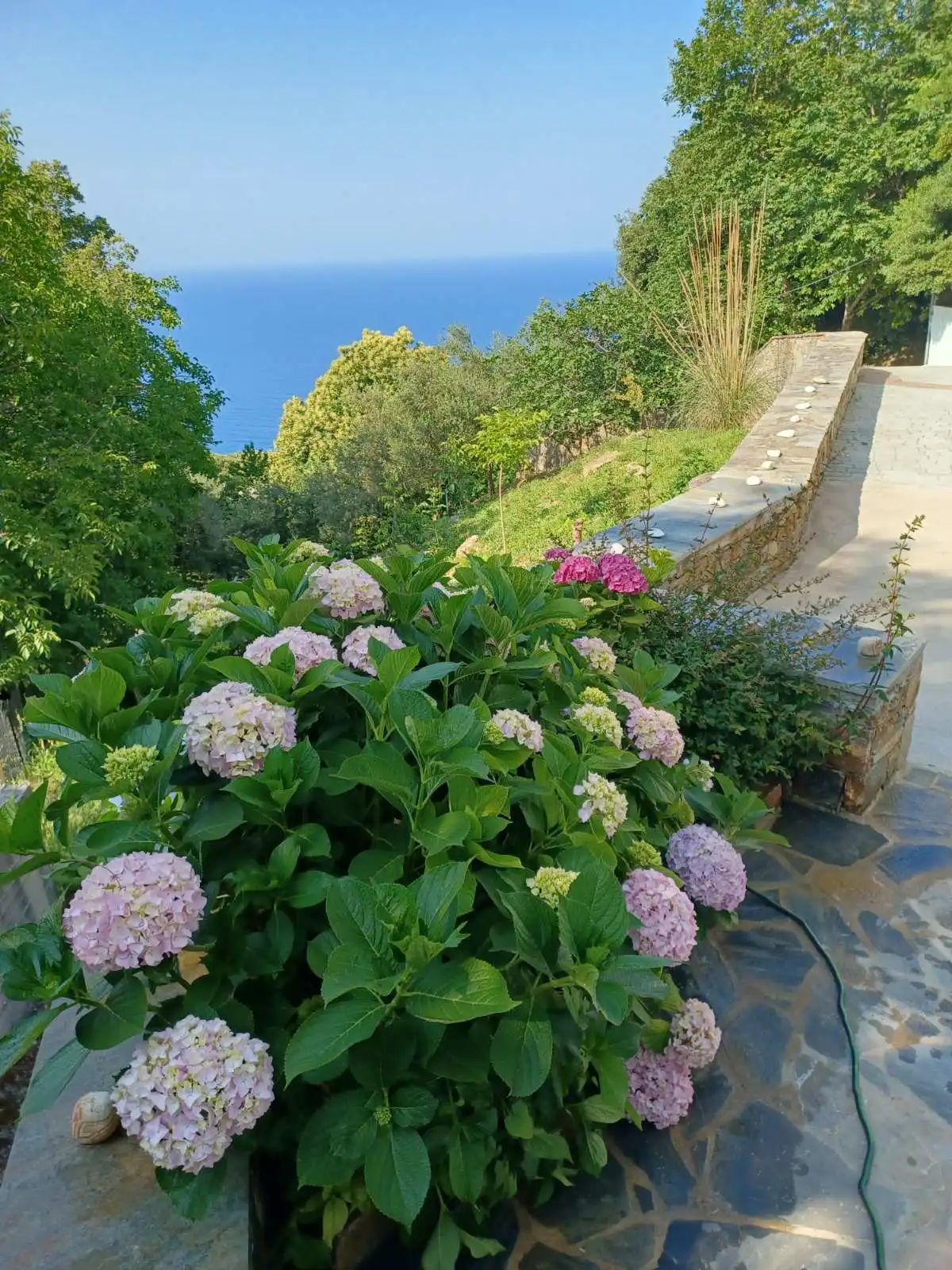 Ioni Home