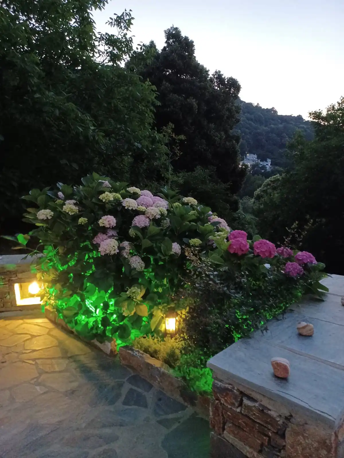 Χώρος Ioni Home